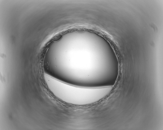 X0000091331496200708100952