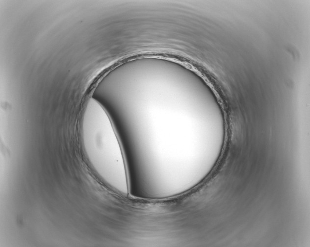 X0000091331497200708100952