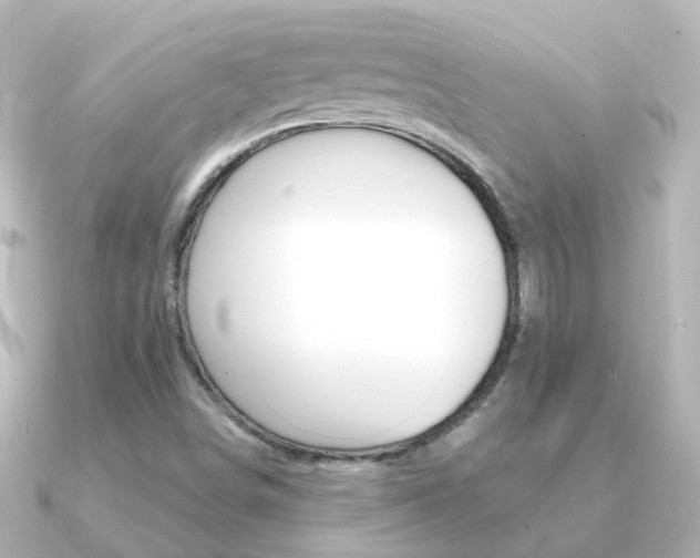 X0000091331498200708100952