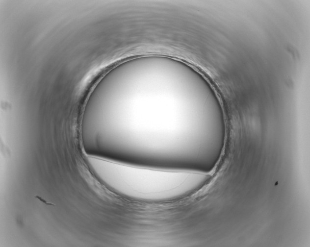 X0000091331499200708100952