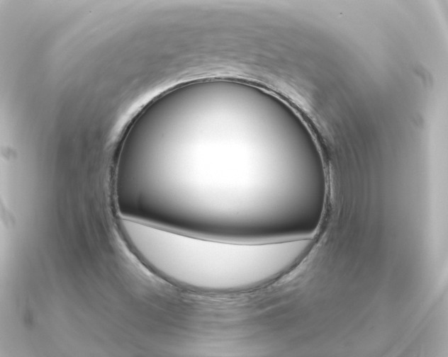 X0000091331500200708100952