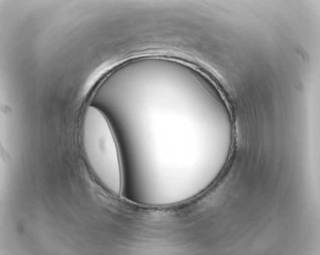 X0000091331501200708100952