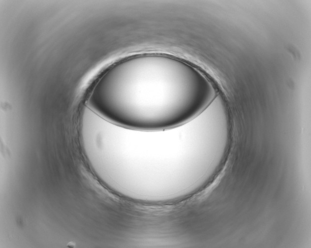 X0000091331502200708100952