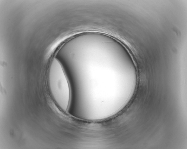 X0000091331503200708100952