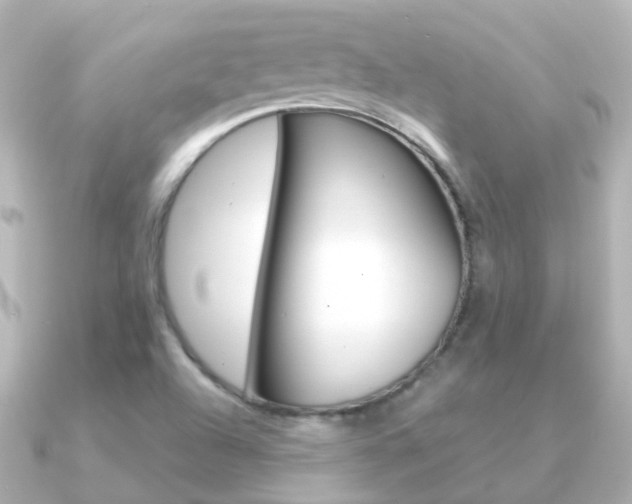 X0000091331504200708100952