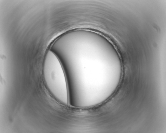 X0000091331505200708100952