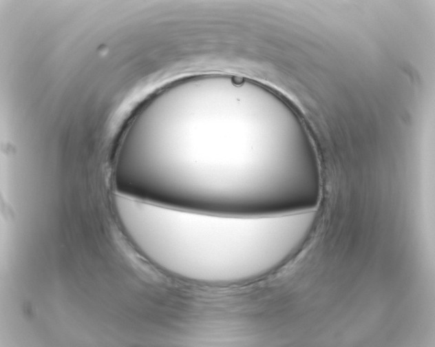 X0000091331507200708100952