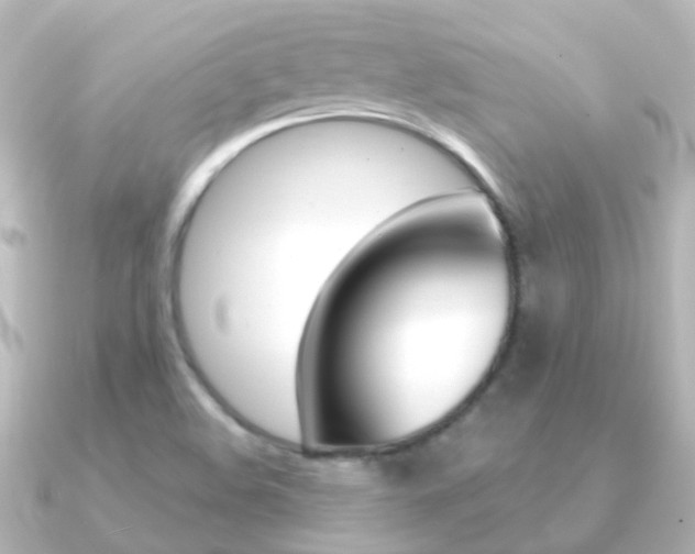 X0000091331508200708100952
