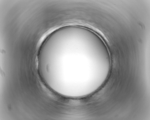 X0000091331509200708100952