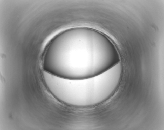 X0000091331510200708100952