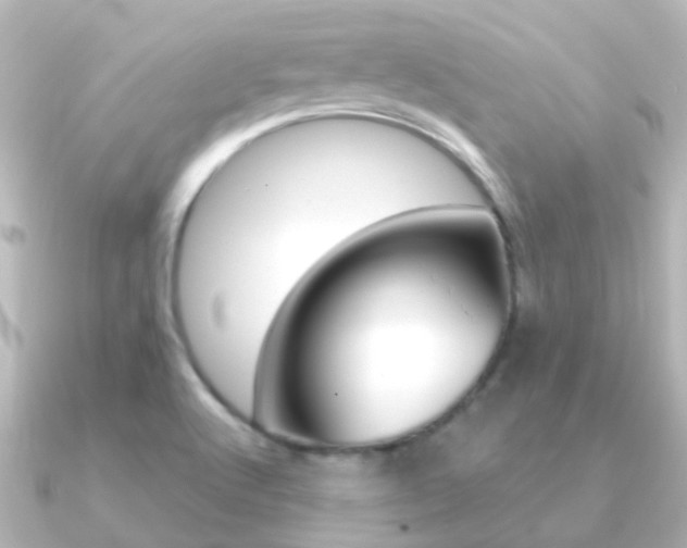 X0000091331512200708100952