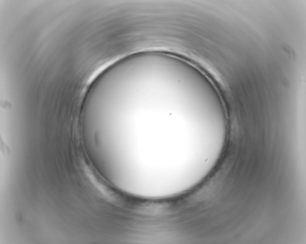 X0000091331513200708100952