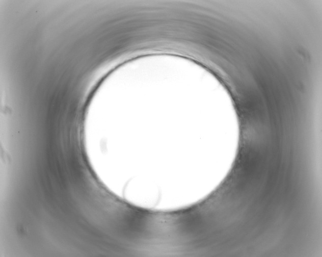 X0000091331514200708100952
