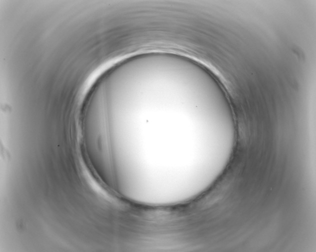 X0000091331515200708100952
