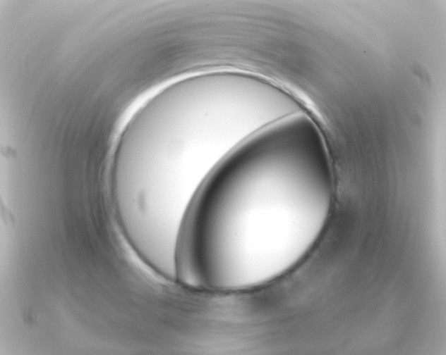 X0000091331516200708100952