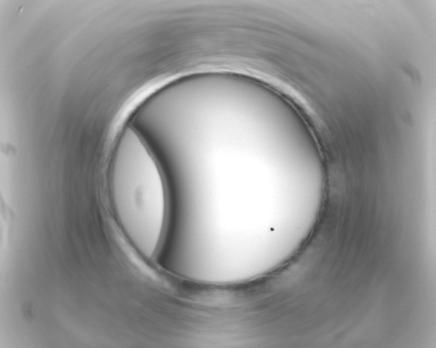 X0000091331517200708100952