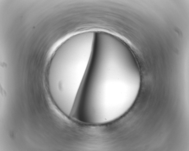 X0000091331518200708100952