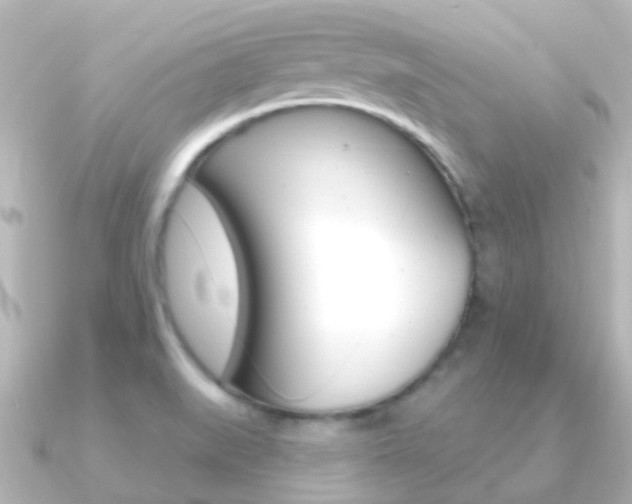 X0000091331519200708100952