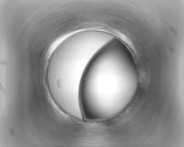 X0000091331520200708100952