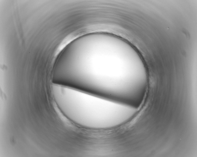 X0000091331521200708100952
