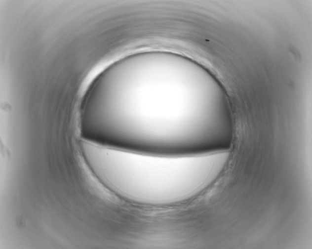 X0000091331522200708100952