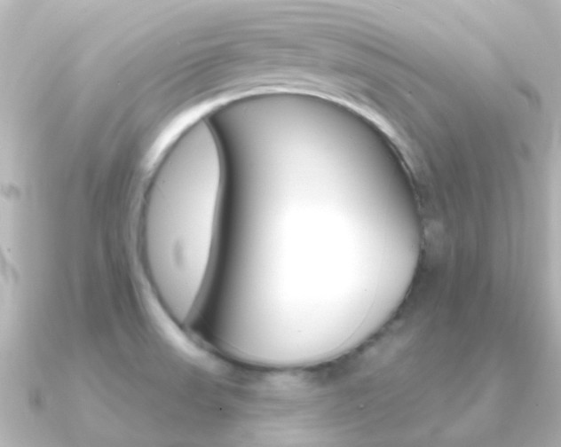 X0000091331523200708100952