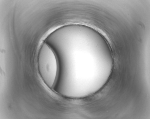 X0000091331525200708100952