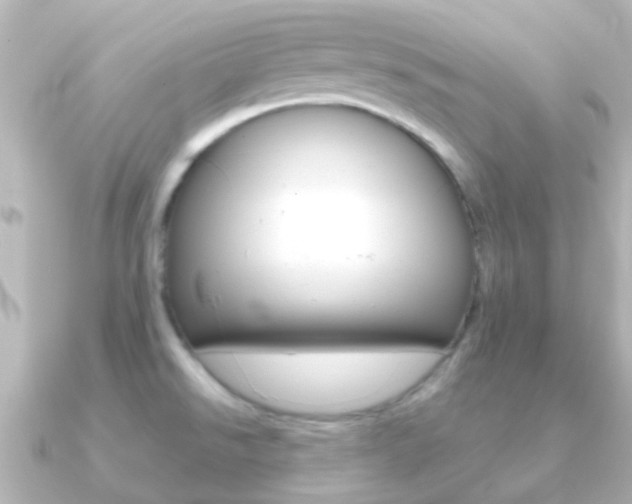 X0000091331526200708100952