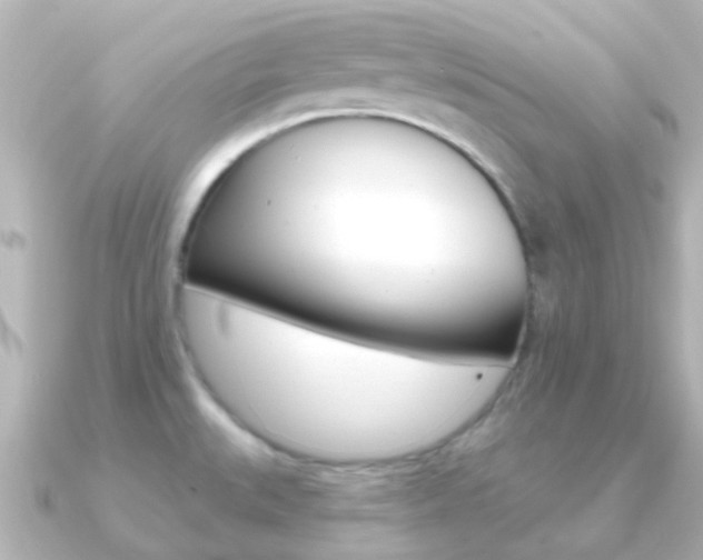 X0000091331527200708100953