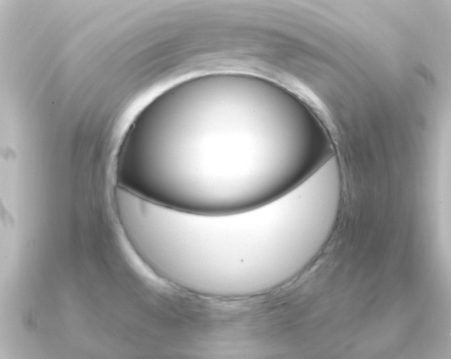 X0000091331528200708100953