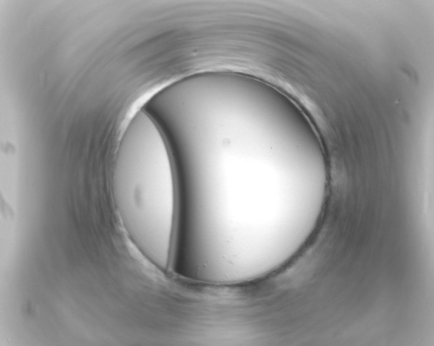 X0000091331529200708100953