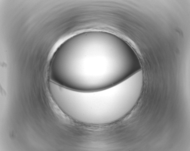 X0000091331530200708100953