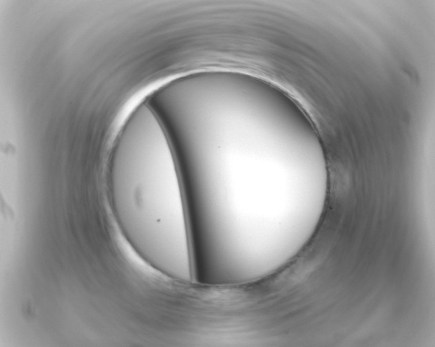 X0000091331531200708100953