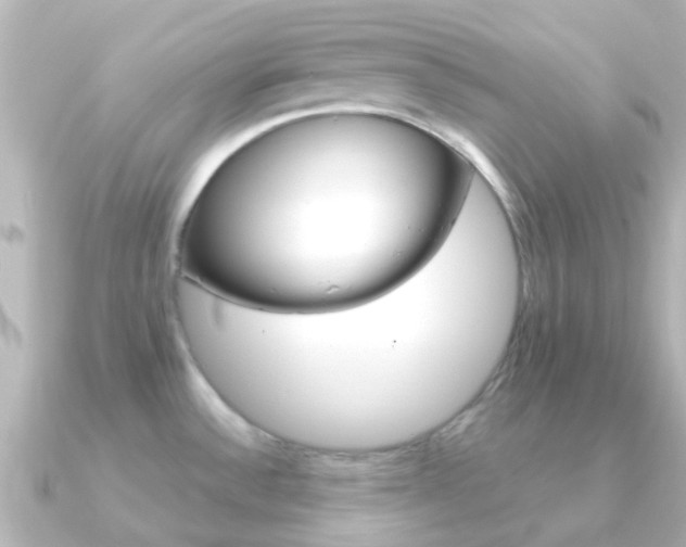 X0000091331532200708100953
