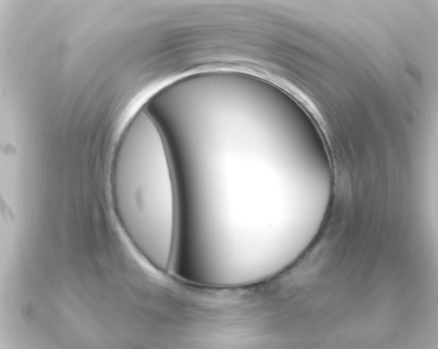 X0000091331533200708100953