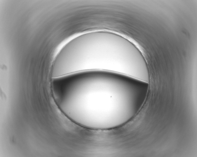 X0000091331534200708100953