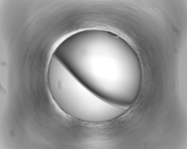 X0000091331536200708100953