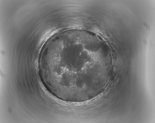 X0000091330002200708101434