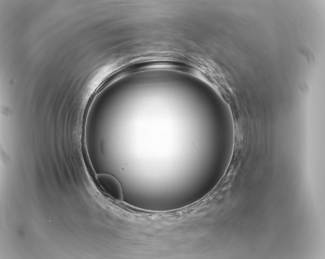 X0000091330003200708101434