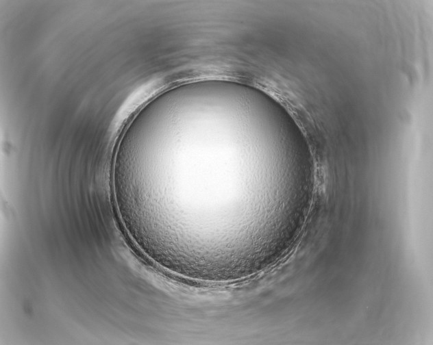 X0000091330004200708101434