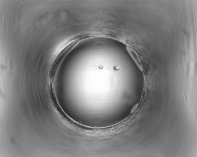 X0000091330005200708101434