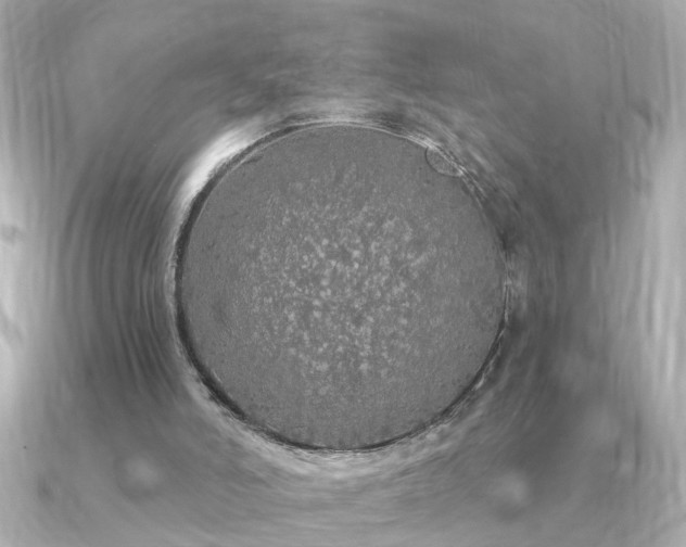 X0000091330006200708101434