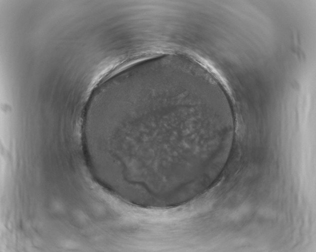 X0000091330010200708101434