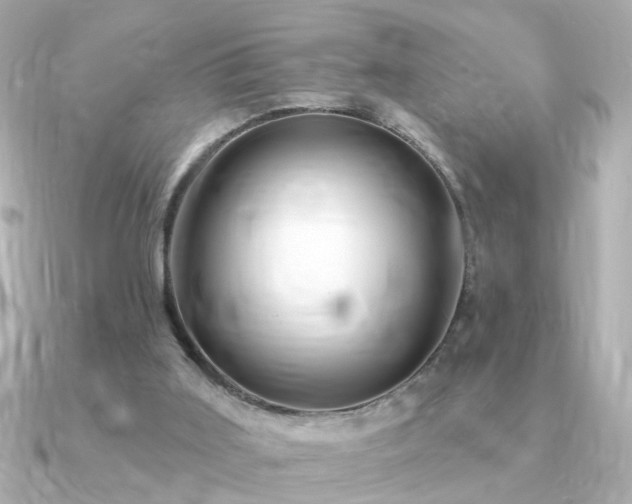 X0000091330011200708101434