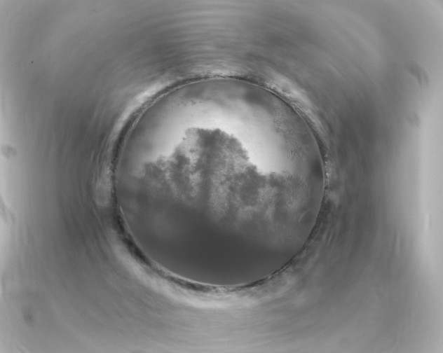 X0000091330012200708101434