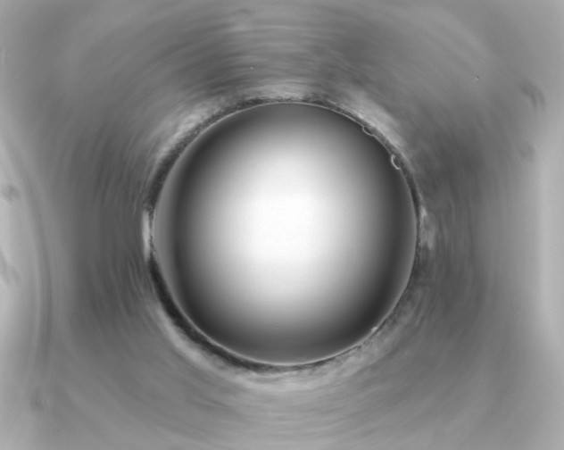 X0000091330013200708101434