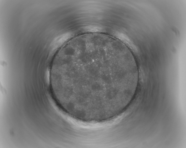 X0000091330014200708101434