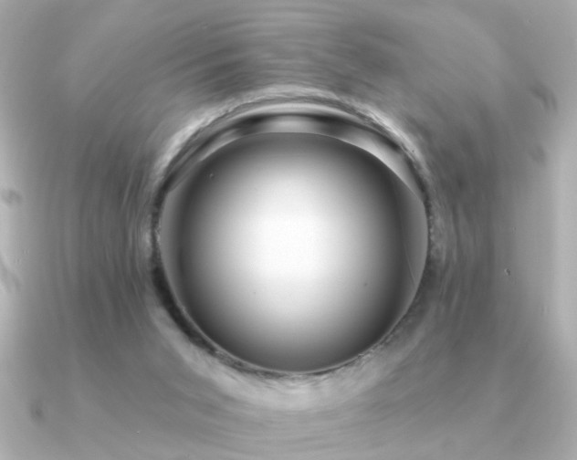 X0000091330015200708101434