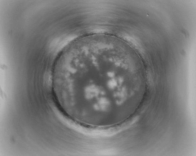 X0000091330016200708101434