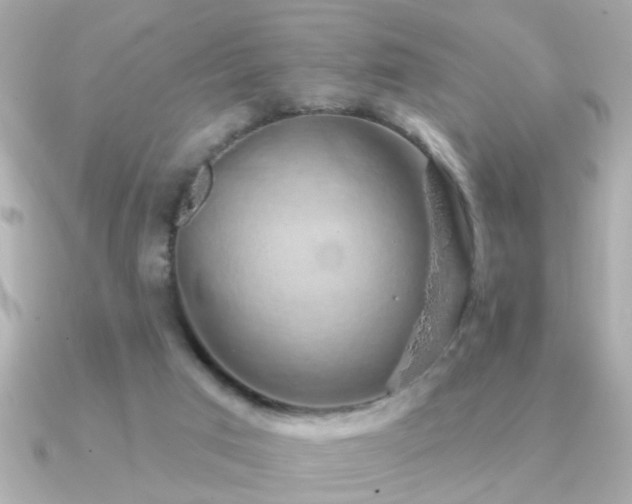 X0000091330017200708101434